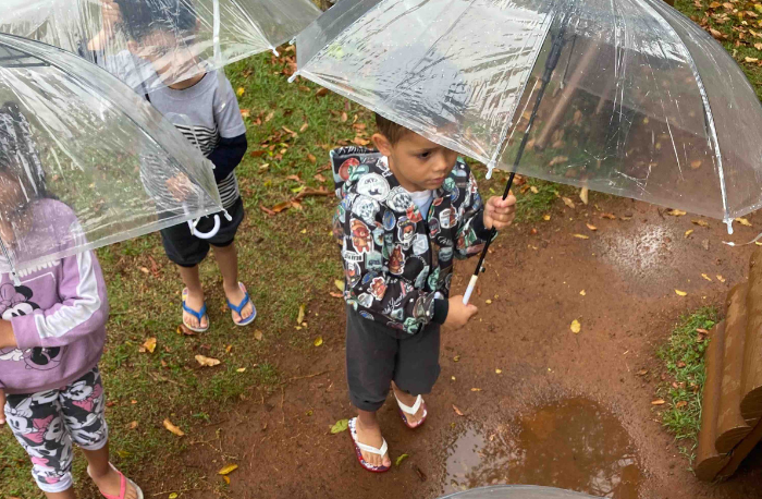 Um belo dia de chuva