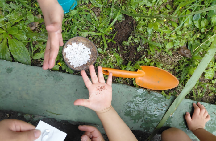 Contexto investigativo: Jardinagem